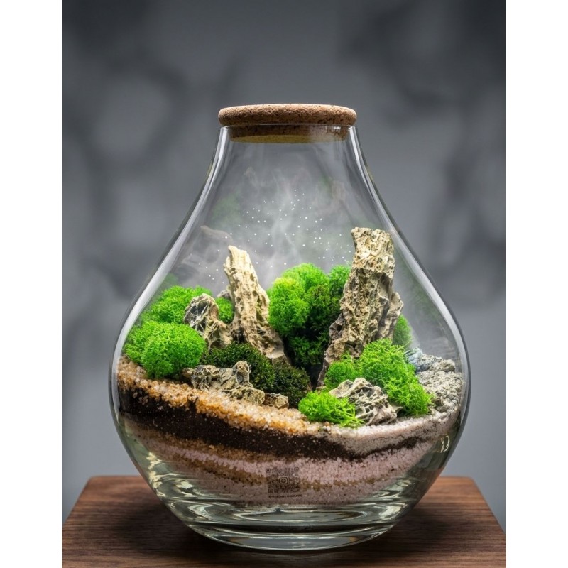 Terrarium Dakry