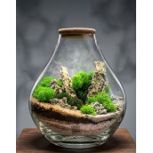 Terrarium Dakry