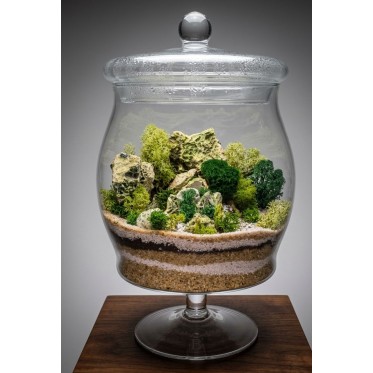 Terrarium Jar