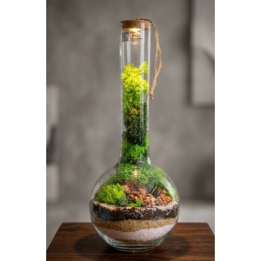 Terrarium bottle