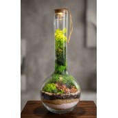 Terrarium bottle