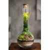 Terrarium bottle