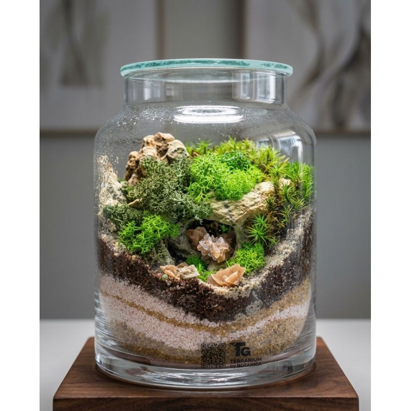 Terrarium Magia