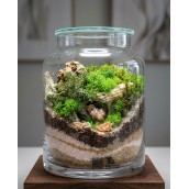 Terrarium Magia