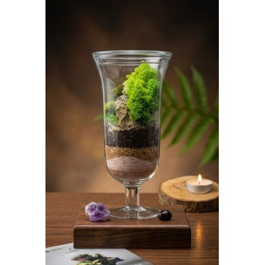 Terrarium bottle