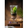 Terrarium bottle